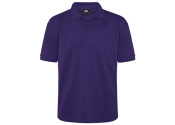 Purple.JPG