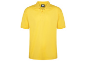 Yellow.JPG