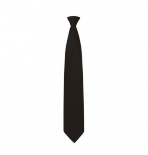 Clip on Tie